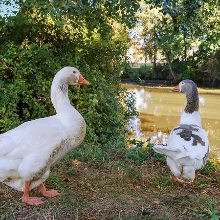 Du Bassin * Nort-sur-Erdre (Loire-Atlantique)