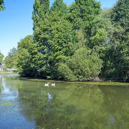 Apartment Du Bassin Nort-sur-Erdre (Loire-Atlantique)